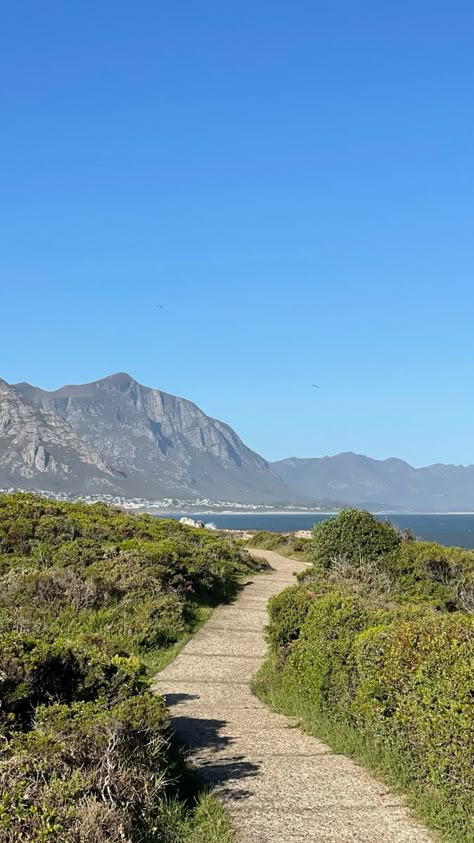 South Africa Beach, Hermanus South Africa, South Africa Vacation, Walk For Life, Africa Nature, Africa Vacation, Ocean Shore, Africa Photography, Beach Instagram Pictures