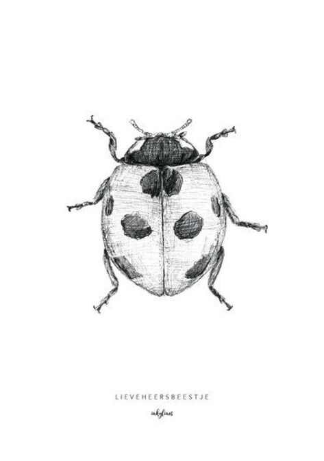 Bugs Drawing, Lady Bug Tattoo, Art Sketches Doodles, Arte Van Gogh, Bug Art, Sketches Doodles, Insect Art, Nature Drawing, Trik Fotografi