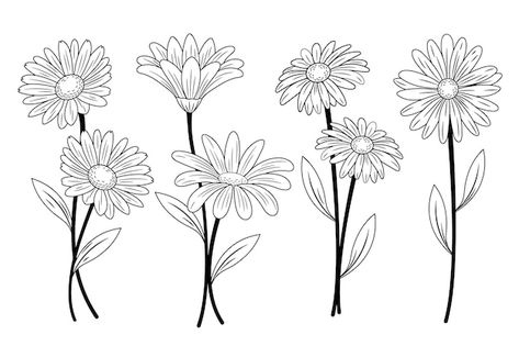 Free vector hand drawn daisy outline ill... | Free Vector #Freepik #freevector #outline #line-art #minimal-illustration #hand-drawn-illustration Daisy Outline, Drawn Daisy, Daisy Drawing, Minimal Illustration, Flower Line Drawings, Outline Illustration, Art Minimal, Outline Drawings, Drawn Illustration