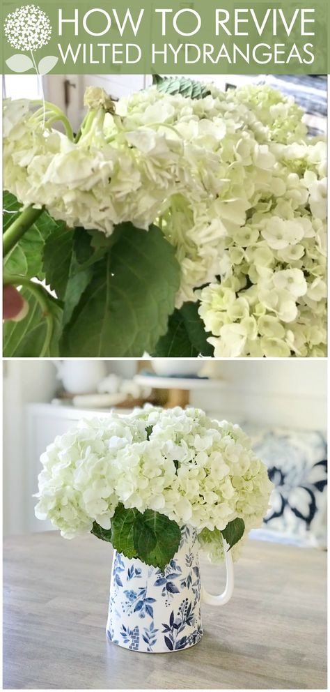 Flower Hack: Easy Tip on How to Revive Wilted Hydrangeas - Home Stories A to Z Hydrangea Varieties, Endless Summer Hydrangea, Dried Wreath, Limelight Hydrangea, Hacks Lifehacks, Hydrangea Care, Dried Hydrangeas, Growing Hydrangeas, Hydrangea Bouquet