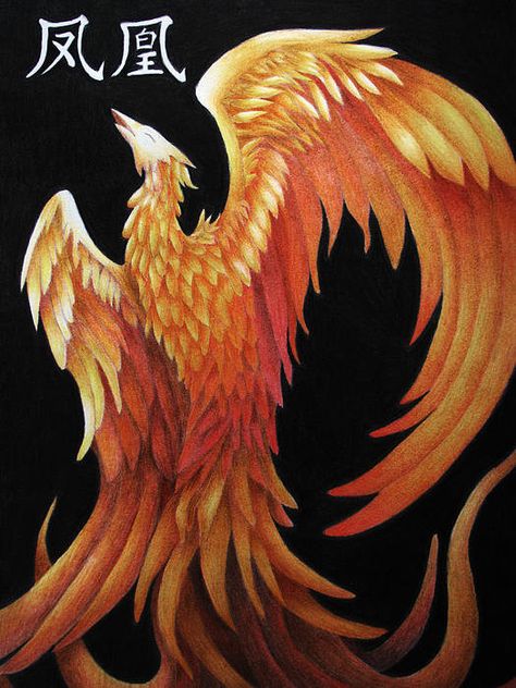 °Zhu Que by Lauren Cawthron Vermillion Bird, Vermilion Bird, Phoenix Art, Rise From The Ashes, Chinese Mythology, Phoenix Bird, Fire Element, Branding Mood Board, All Poster