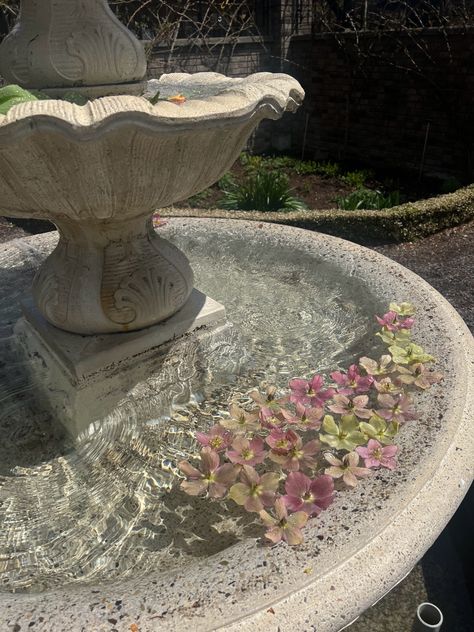 #fountain #karuizawa #japan #flowers #aesthetic #birdbath #garden #flowergarden Birdbath Aesthetic, Flower Fountain, Fountain Aesthetic, Karuizawa, Launch Event, Water Fountain, Future House, Bird Bath, Light Decorations