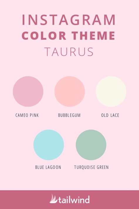 Can’t pick which Instagram color themes to style your grid with? Browse the best Instagram color themes for each zodiac sign for some celestial inspiration! #taurus #instagramtheme Instagram Color Themes, Theme For Instagram, Scorpio Color, Zodiac Signs Colors, Ideas For Instagram, Color Png, Hex Color Palette, Brand Color Palette, Earth Signs