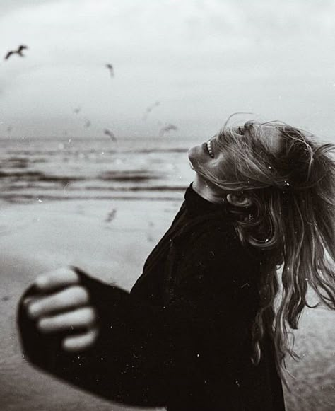 White Photo, The Wind, A Woman, The Beach, Birds, Black And White, Hair, White, Black