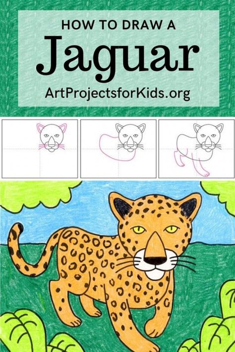 Learn how to draw a Jaguar with this fun and easy art project for kids. Simple step by step tutorial available. #howtodraw #artprojectsforkids #jaguar Jaguar In Jungle, Abc Drawing, Jaguar Drawing, Direct Drawing, Directed Drawing Kindergarten, Jaguar Art, Students Drawing, Jungle Drawing, Latin American Folk Art