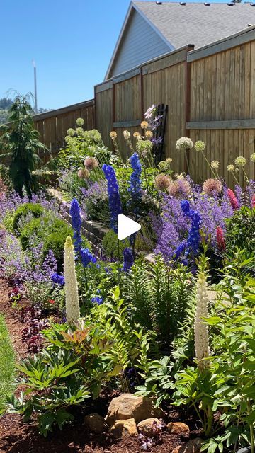 Cortney on Instagram: "A little garden tour of June flowers in my garden ♥️
The sun came out and it is starting to explode in color everywhere! I love it!!! 
If you need me I’ll be in my garden for the rest of Summer… backyard vacation!!! 🌿
.
#gardencharm #garden #gardening #oregongarden #pnwgardening #pnwlife #pnwonderland #oregon #zone8b #gardenlove #gardendesign #gardentherapy #life #oasis #backyardgarden #summer #vacation" Backyard Vacation, June Flowers, Oregon Garden, Summer Backyard, Charming Garden, Garden Tours, Little Garden, My Garden, Backyard Garden