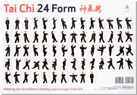 Simplified Standard 24 Movement T'ai Chi Ch'uan Form (Yang 24 Taijiquan): Bibliography, Lessons, Lists, Links, Quotes, Resources, Notes, Instuctions. Tai Chi Poses, Tai Chi Movements, Tai Chi Moves, Learn Tai Chi, Tai Chi For Beginners, Fighter Workout, Tai Chi Exercise, Tai Chi Qigong, Self Defense Martial Arts