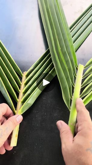 Coconut Leaves Decoration, Coconut Decoration Ideas, Coconut Weaving, Coconut Leaf Craft, Palm Leaves Decor, Palm Tree Crafts, Palm Leaf Decor, Coconut Decoration, Banana Leaf Art