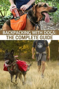 Backpacking With Dogs, Diy Dog Bag, Backpacking For Beginners, Camping Snacks, Illustration Simple, Hiking Dogs, Dog Backpack, Prepper Survival, Backpacking Tips