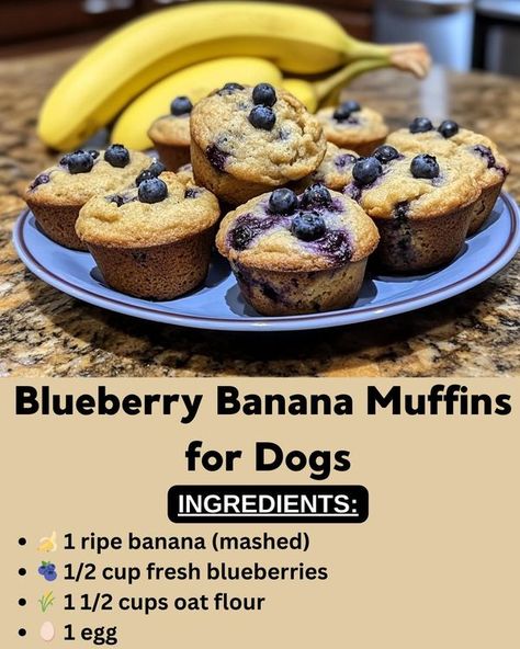 Homemade Pet Treats And Other Pet Items To Make / Sell | 🫐🍌 𝐁𝐥𝐮𝐞𝐛𝐞𝐫𝐫𝐲 𝐁𝐚𝐧𝐚𝐧𝐚 𝐌𝐮𝐟𝐟𝐢𝐧𝐬 𝐟𝐨𝐫 𝐃𝐨𝐠𝐬 🐶 | Facebook Diy Dog Treats To Sell, Muffins For Dogs, Blueberry Dog Treat Recipe, Blueberry Banana Muffins, Pet Bakery, Kitty Treats, Pet Recipes, Homemade Pet Treats, Pet Snacks