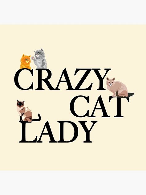 Cottage Cat, Cat Crazy, Lady Cat, Cat Scratch, Pretty Animals, Cat Scratching, Crazy Cat, Pet Gifts, Crazy Cat Lady