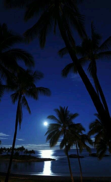 Hawaii Hawaii At Night, Hawaii Night, Aulani Resort, Have A Great Vacation, Hawaii Resorts, Moon Setting, Aulani Disney Resort, Disney Aulani, Image Nature