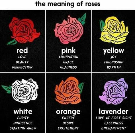 Rose Meaning, Flower Meanings, Nothing But Flowers, Color Meanings, Flower Therapy, Language Of Flowers, Pretty Plants, Useful Life Hacks, Things To Know