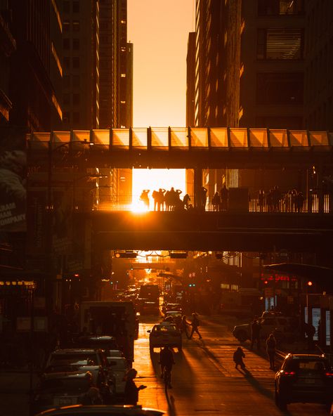 A special alignment of the sun, known as Chicagohenge, occurs twice a year. Thank the city planners for laying out such a perfect grid! City Planner, Broadway Show Signs, Broadway Shows, The Sun, Chicago, Layout, Sun, Travel, Quick Saves