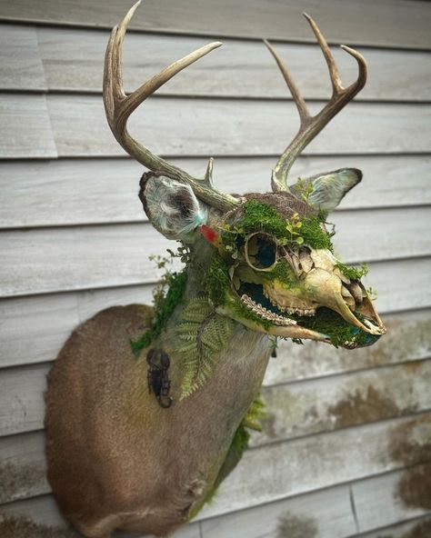 Mythical Creature Taxidermy, Bone Taxidermy Art, Crafts With Bones, Animal Bone Crafts, Cool Taxidermy, Animal Bones Crafts, Dragon Taxidermy, Bone Art Diy, Creative Taxidermy