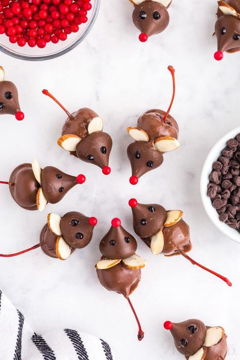 Chocolate Cherry Mice are cute no-bake holiday treats made with chocolate-coated cherries, almonds, Hershey's Kisses, icing, and candies. Cherry Mice, Christmas Dessert Platter, Holiday Dessert Platter, Chocolate Dipped Cherries, Christmas Baking Cookies, Chocolate Festival, Dessert Platter, Hershey's Kisses, Holiday Chocolate