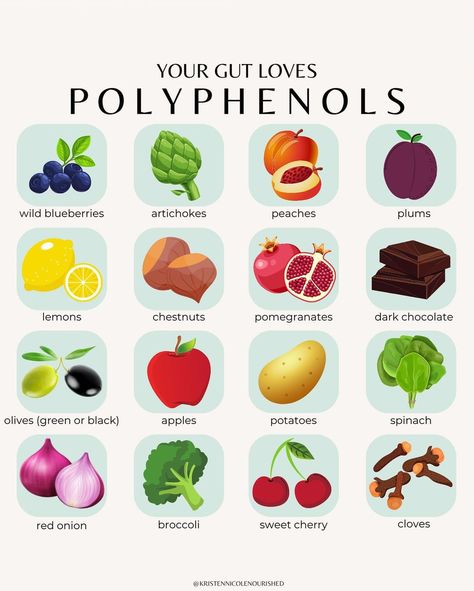 Gut Nutritionist | Kristen on Instagram: “Your gut loves polyphenols 🍎🍑🍋🥑🫐🍠 🚨SAVE this post for your next grocery shopping trip!🚨 What exactly are polyphenols? ⤵️ Polyphenols are…” Polyphenols Food List, Polyphenol Rich Foods List, High Polyphenol Foods, Polyphenol Rich Recipes, Foods High In Polyphenols, Polyphenol Rich Foods, Polyphenols Food, Probiotic Food, Prebiotic Foods