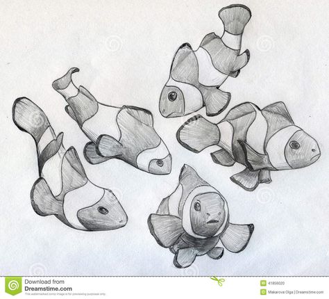 Illustration about Sketch of five little clown fishes drawn by hand with pencil on paper. Illustration of life, five, school - 41856020 Sea Fishes Drawing, Clown Fish Drawing Easy, Fish School Drawing, Sea Creatures Drawing Realistic, Marine Animals Sketch, Drawing Ideas Ocean Animals, Fish Swimming Drawing, Fish Drawing Aesthetic, Fish Drawing Reference