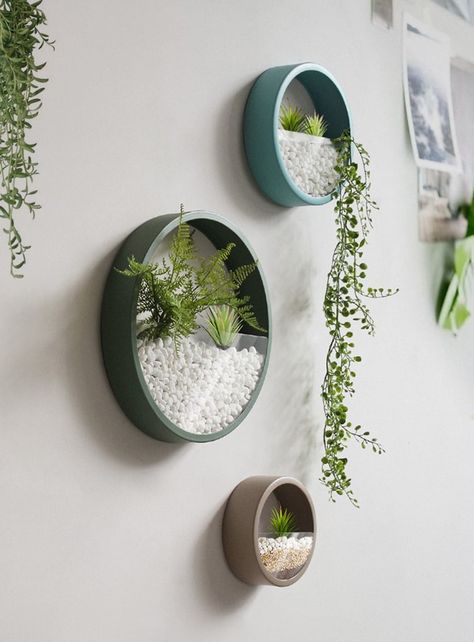 Terrarium Table, Hanging Wall Vase, Wall Terrarium, Wall Plant Holder, Metal Wall Planters, Wall Planters Indoor, Hanging Wall Planters, Hanging Terrarium, Wall Planters