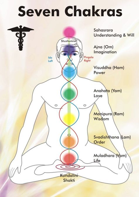 Ayurveda Massage, Chakra Mantra, Chakra Chart, The Seven Chakras, Yoga Kundalini, Yoga Mantras, Seven Chakras, Les Chakras, Kundalini Yoga