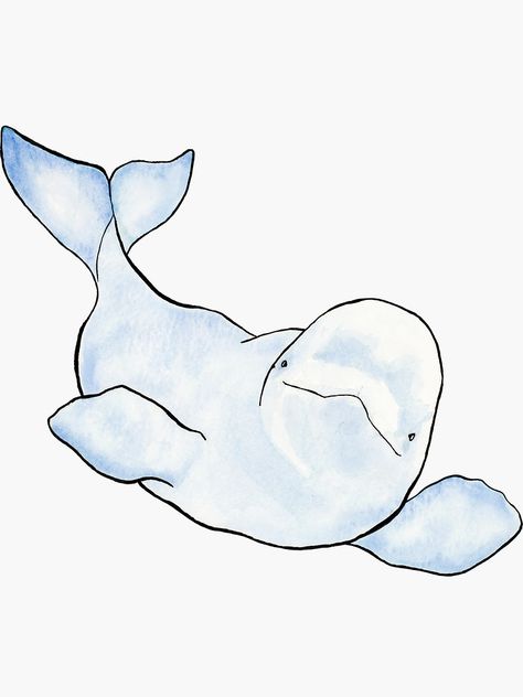 Beluga Drawing, Whale Coloring Pages, Whale Drawing, Ocean Drawing, Whale Illustration, Whale Tattoos, Beluga Whale, Cute Whales, Creature Drawings