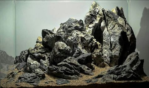 Hardscape Seiryu Stone Stone Aquascape, Aquarium Rocks, Fish Freshwater, Aquascape Design, Aquatic Plant, Aquascape Aquarium, Aquarium Design, Hobbit House, Vivarium