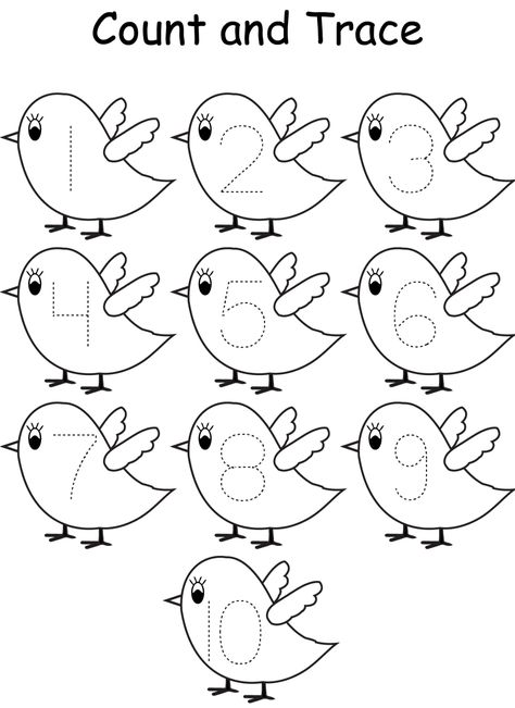 All About Birds Preschool, Bird Worksheets Preschool Free Printable, Bird Worksheets Preschool, Birds Theme Preschool Activities, Bird Counting Preschool, Birds Kindergarten, Birds Kindergarten Activities, Worksheet On Birds For Kindergarten, Bird Worksheet