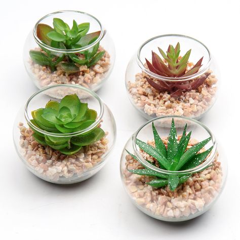 Buy 4PCS Fake Succulents Small Artificial Plants Glass Globe Potted Indoor Bookshelf Decor at Walmart.com Fake Succulents, White Pot, Mini Succulents, Artificial Succulents, Faux Succulents, Bookshelf Decor, Succulent Pots, Ceramic Pot, Glass Globe