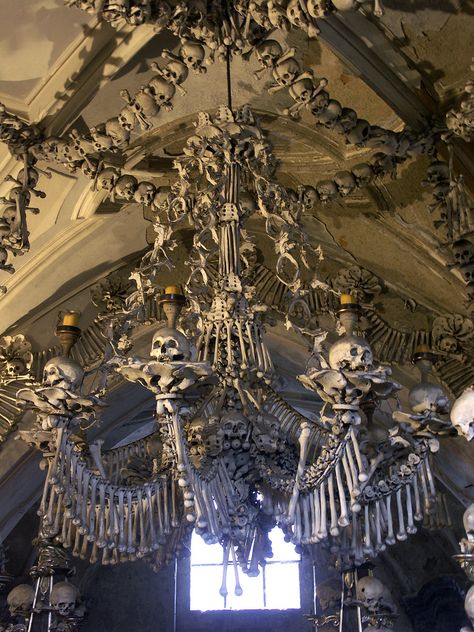 Skeleton Ideas, Sedlec Ossuary, Human Remains, Human Bones, Vulture Culture, Bone Art, The Basement, Skull And Bones, Memento Mori