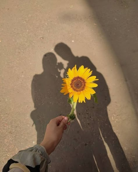 Poses Together, Pink Moon Wallpaper, Sunflower Quotes, Poetry Photos, My Sunflower, Sunflower Pictures, Muslim Couple Photography, Beautiful Quran Verses, Foto Aesthetic