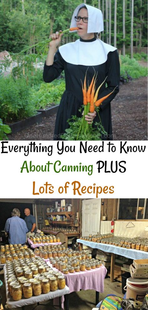 Everything You Need to Know About Canning PLUS Lots of Recipes - One Hundred Dollars a Month Mennonite Canning Recipes, Summer Canning, Pickled Things, Ball Canning, Easy Canning, Canning 101, Canning Fruit, Canning Ideas, Canned Foods