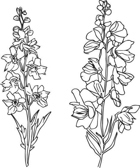 Flower Stem Drawing, Delphinium Flower Drawing, Larkspur Flower Drawing, Larkspur Drawing, July Birth Flower Larkspur, Larkspur Delphinium, Larkspur Tattoo, Xmas Flowers, July Birth Flower