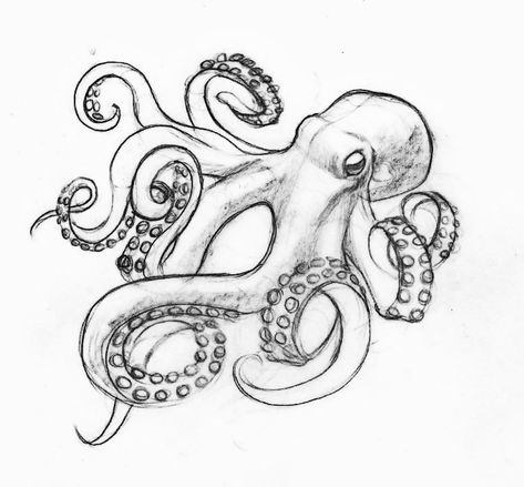 Elbow Octopus Tattoo, Cracken Octopus Drawing, Kraken Drawing Easy, Drawing Octopus Simple, Octopus Sketch Drawings, Scary Octopus Drawing, Octopus Ink Drawing, Tenticals Drawing Reference, Octopus Drawing Step By Step