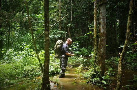 Jungle Living Skills - Feral Human Expeditions Biologist Aesthetic, Feral Human, Jungle Expedition, Wilderness First Aid, Apocalypse World, Inktober 2024, Living Skills, Wild Edibles, Learning Objectives