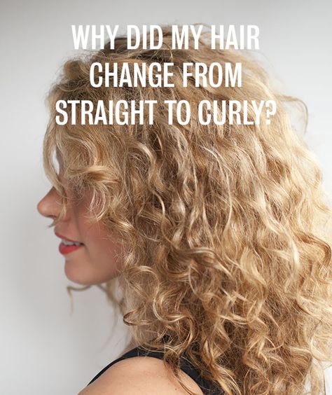 Hair Romance - Why did my hair change from straight to curly Fishtail Hairstyles, Hair Change, Hair Romance, Colored Curly Hair, Skin Hair, Hair Nails, Curly Hair Cuts, Long Curly Hair, About Hair