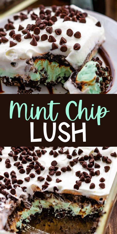 Chocolate And Mint Desserts, Turtle Lush Dessert, Mint Oreo Dessert, Mint Dessert Recipes, Lasagna Desserts, Mint Dessert, Irish Dessert Recipes, Dessert Lasagna, Summer Desert