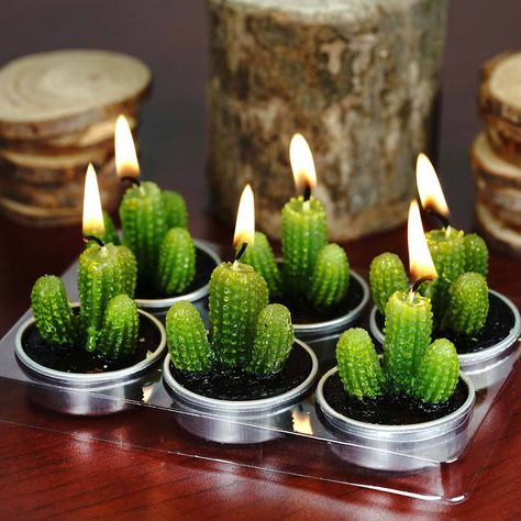 Succulent Candles, Cactus Candles, Succulents Candles, Candles Wedding, Cactus Party, Candles Wax, Candles Handmade, Mini Cactus, Cactus Decor