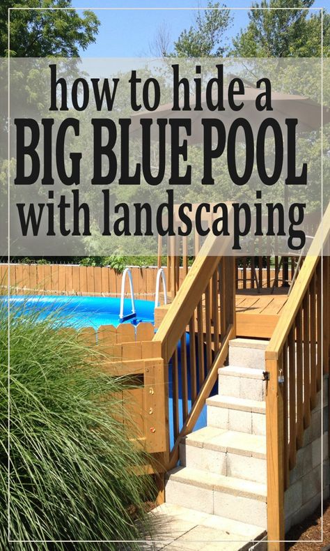 Photos of one homeowner's experience making a cheap blue pool blend in to a serene backyard. Small Above Ground Pool, Inground Pool Landscaping, Cheap Pool, Above Ground Pool Ideas, Ground Pool Ideas, Pool Landscape Design, Above Ground Pool Landscaping, Above Ground Pool Decks, Backyard Pool Landscaping