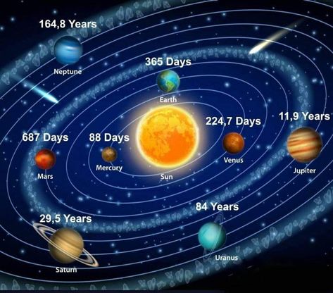 Scientific Infographic, Saturn Solar System, Sun Diagram, Poster Infographic, Mars Mission, Solar System Art, Backyard Ponds, Planet Poster, Astronomy Facts