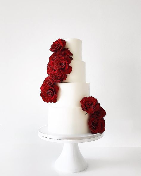 Earth and Sugar on Instagram: “Turning a perfect buttercream cake into something more with beautiful classes red roses. @thebetsyhotel” Red Rose Wedding Cake, Blue Wedding Dress Royal, Wedding Cake Roses, Red Rose Wedding, Red Cake, White Wedding Cakes, Red Wedding Dresses, White Wedding Cake, Rose Cake