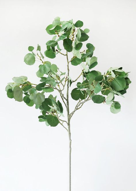 Fake House Plants, Faux Plants Decor, Fake Leaves, Sedum Plant, Artificial Branches, Faux Olive Tree, Aspen Leaf, Faux Leaf, Artificial Greenery