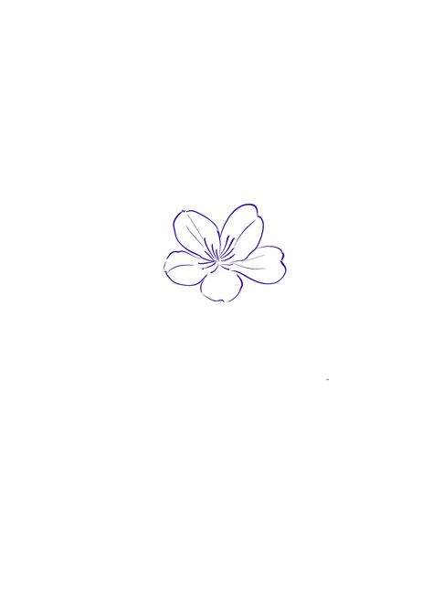 Greece Flower Tattoo, Big Tattoo Pieces, Bali Flower Tattoo, Coastal Tattoos, Anemone Tattoo, Greece Tattoo, Tiny Flower Tattoos, Seashell Tattoos, Small Girly Tattoos