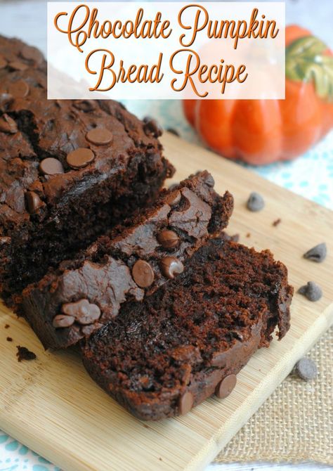 Chocolate Pumpkin Bread Recipe Chocolate Pumpkin Loaf, Recipe With Sour Cream, Dessert Bread Recipes, Chocolate Pumpkin Bread, Healthy Pumpkin Dessert, Chocolate Chip Bread, Pumpkin Chocolate Chip Bread, Chocolate Pumpkin, Pumpkin Recipe