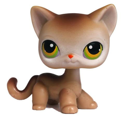 Lps Shorthair, Rare Lps, Lps Accessories, Lps Popular, Lps Cats, Burmese Cat, Lps Toys, Lps Pets, Little Pet Shop Toys