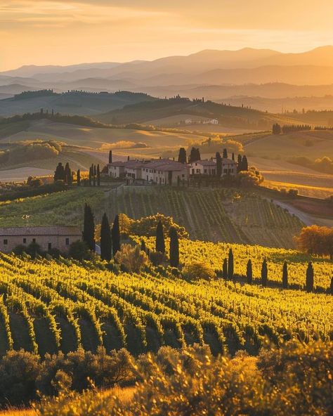 Tuscany Italy Landscape, Tuscany Landscape, Volunteer Travel, Farm Land, Italy Landscape, Toscana Italia, Home Library Design, Italian Countryside, Nautical Rope