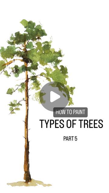 How To Paint Bushes And Trees, Pine Tree Painting Tutorials, Pine Tree Watercolor Painting, Watercolor Pine Tree Tutorial, How To Paint Pine Trees, Water Color Trees, Watercolor Trees Tutorial, Painting Pine Trees, Pine Tree Watercolor