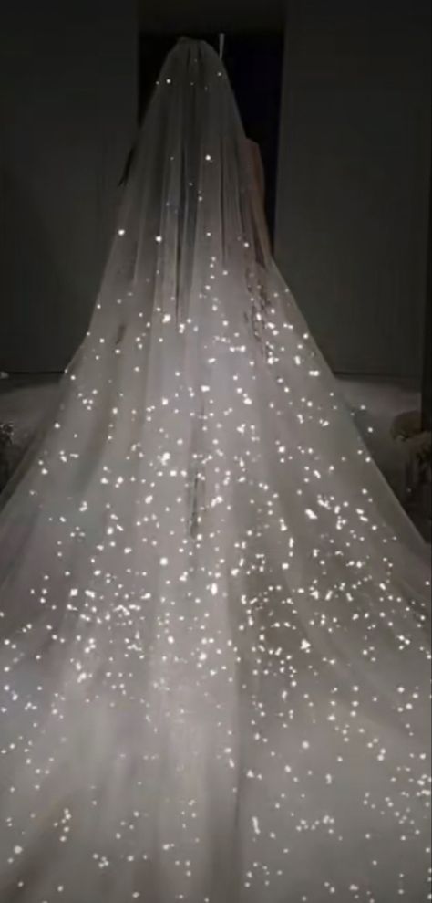 Wedding Dresses Glitter, Glitter Wedding Dresses, Rockstar Wedding, Sparkling Wedding Dress, Poofy Wedding Dress, Winter Wonderland Wedding Theme, Wonderland Wedding Theme, Hunter Wedding, Bridal Wardrobe