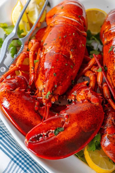 How To Cook Lobster - Sweet CS Designs. How To Cook Live Lobster, Boiled Lobster, Seafood Dipping Sauce, Cook Lobster, Gf Dinner, Live Lobster, Lobster Recipes Tail, How To Cook Liver, How To Cook Lobster