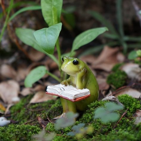 Small Frog, Fairy Garden Supplies, Reading Book, Animal Figurines, Accessories Diy, Garden Supplies, Fairy Garden, Terrarium, Figurines