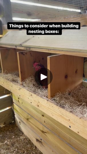 3.8K views · 730 reactions | 1. Ensure the nesting boxes are the right size for your hens. A typical box is about 12 inches wide, 12 inches tall, and 14-16 inches deep. Provide one nesting box for every 3-4 hens to prevent overcrowding.

2. Place the boxes in a quiet, private area of the coop, away from high traffic. Chickens prefer a peaceful environment for laying eggs, so avoid spots that are too bright or noisy.

3. Use soft, clean bedding like straw or hay to make the boxes comfortable. Avoid materials that can be too abrasive or retain moisture.

4. Ensure the boxes are easily accessible for both the hens and you. Consider designing them so you can easily check for eggs from outside the coop and clean them out as needed.

5. Make sure the nesting boxes are secure from predators. Use Outside Access Nesting Boxes, Chicken Nesting Box Ideas Diy Hen House, Chicken Coop Nesting Boxes Diy, Diy Nesting Boxes For Chickens Cheap, Hen Nesting Boxes Diy, Laying Boxes For Chickens, Chicken Nesting Box Ideas Diy, Nesting Boxes For Chickens, Chicken Coop Bedding